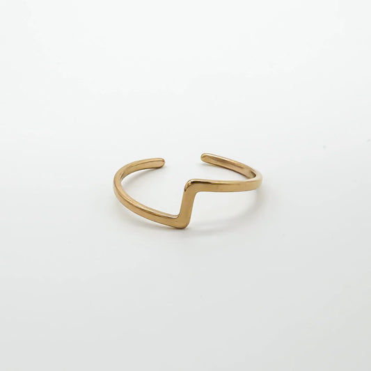 Robin - Anillo - Acero inoxidable - Ajustable