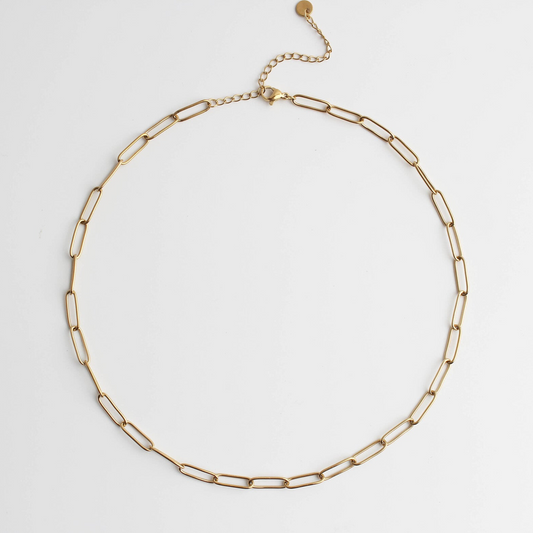 Chain - Necklace - Stainless Steel